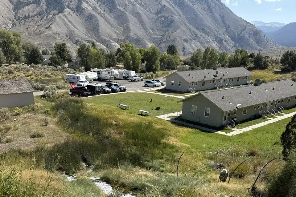 Yellowstone National Park Wetland and Rare Plant Survey near Mammoth Hot Springs